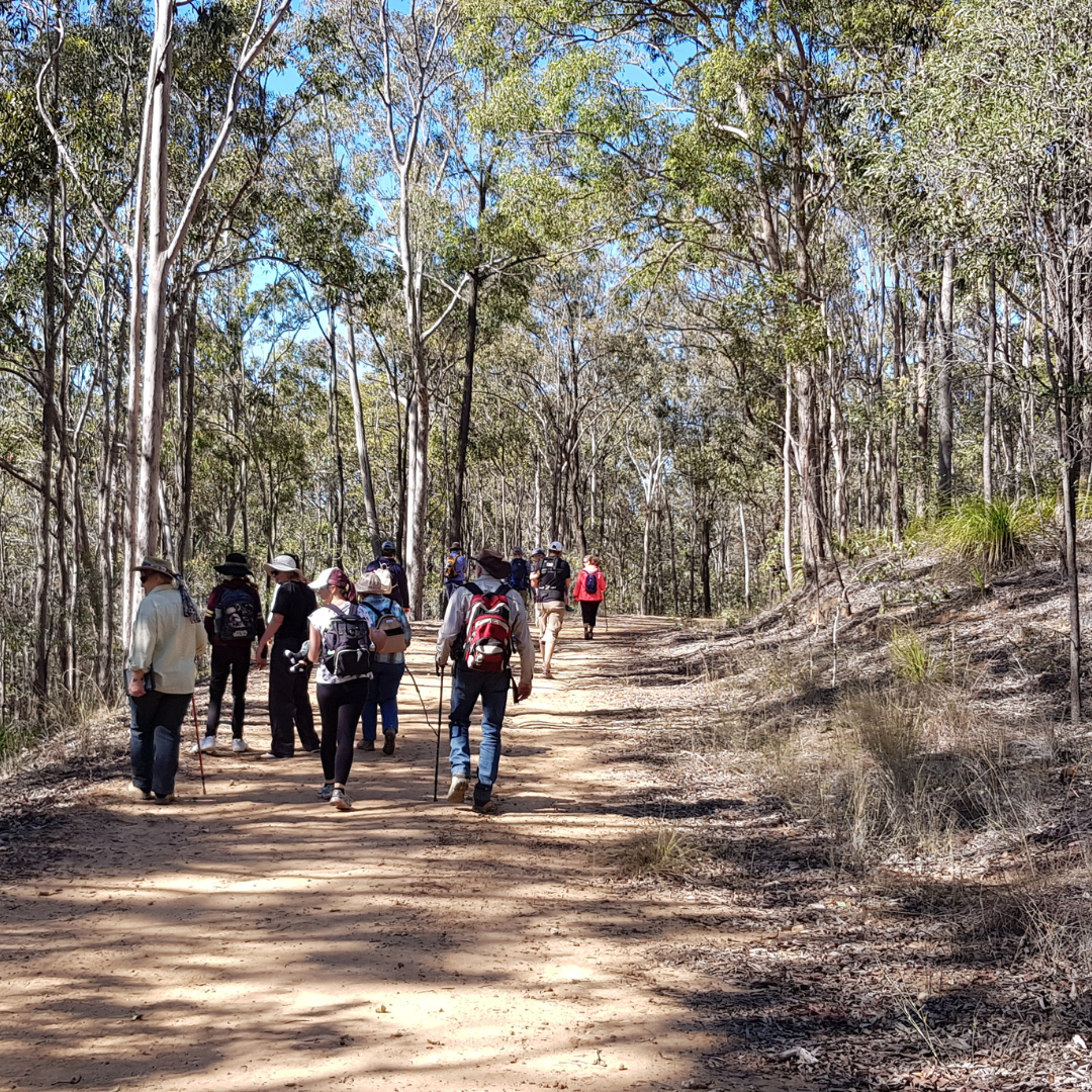 A group of people on a bushwalk