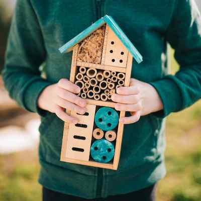 Child holding a native bee hive