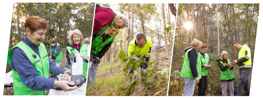 Volunteers in the bush