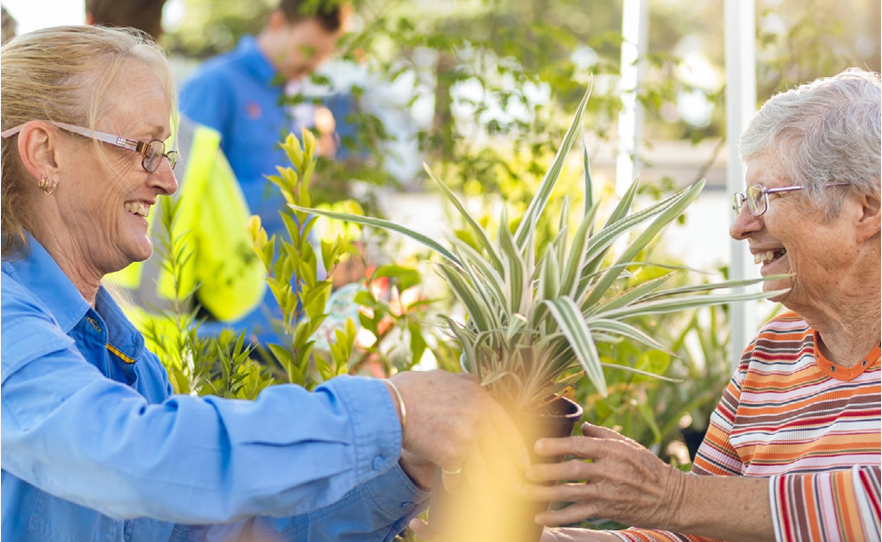 A Council worker giving a resident a free tree as part of our free trees program