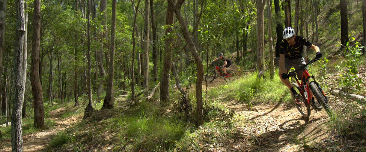 Mountain bike riders heading down a tight winding path through the trees