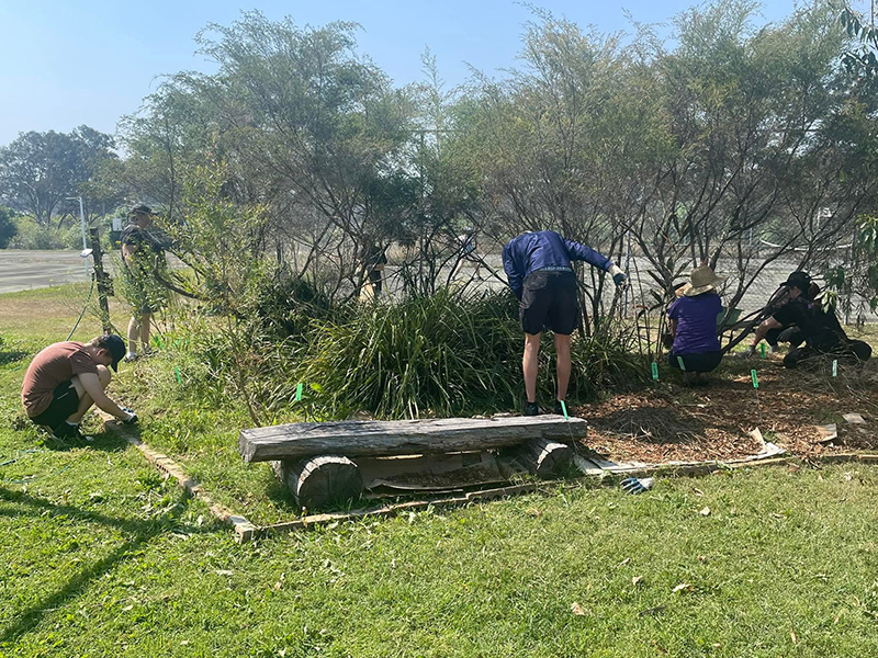 A day at our Native Garden Bed at Jimboomba Community Gardens.