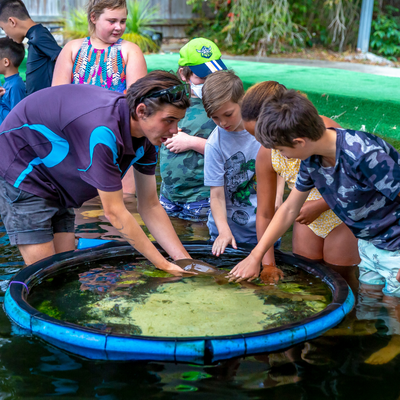Children looking into a rock pool with adult instructor