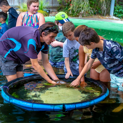 Children pat a stingray while standing in a pool of water